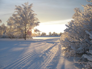 3d6e7bf6054e5e0bc0b25cd43777161cc67b6184