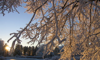 82e3ef110c1e6ae7cfc2e09e59e61c72a7bf0756