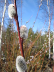 F5cabefc4c71c8eccae4be0f567def34019b87e4